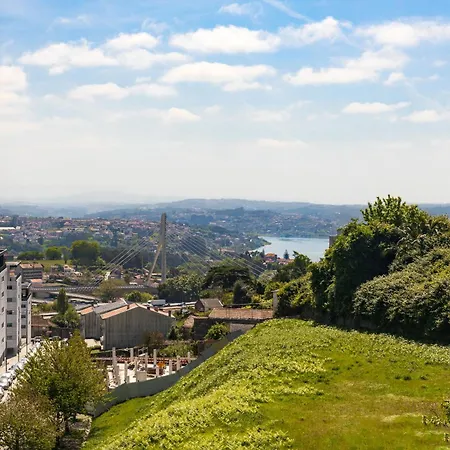 Dragao - Indigo Antas Park