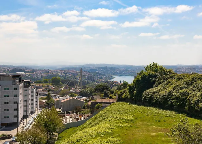 Dragão - Indigo Antas Park